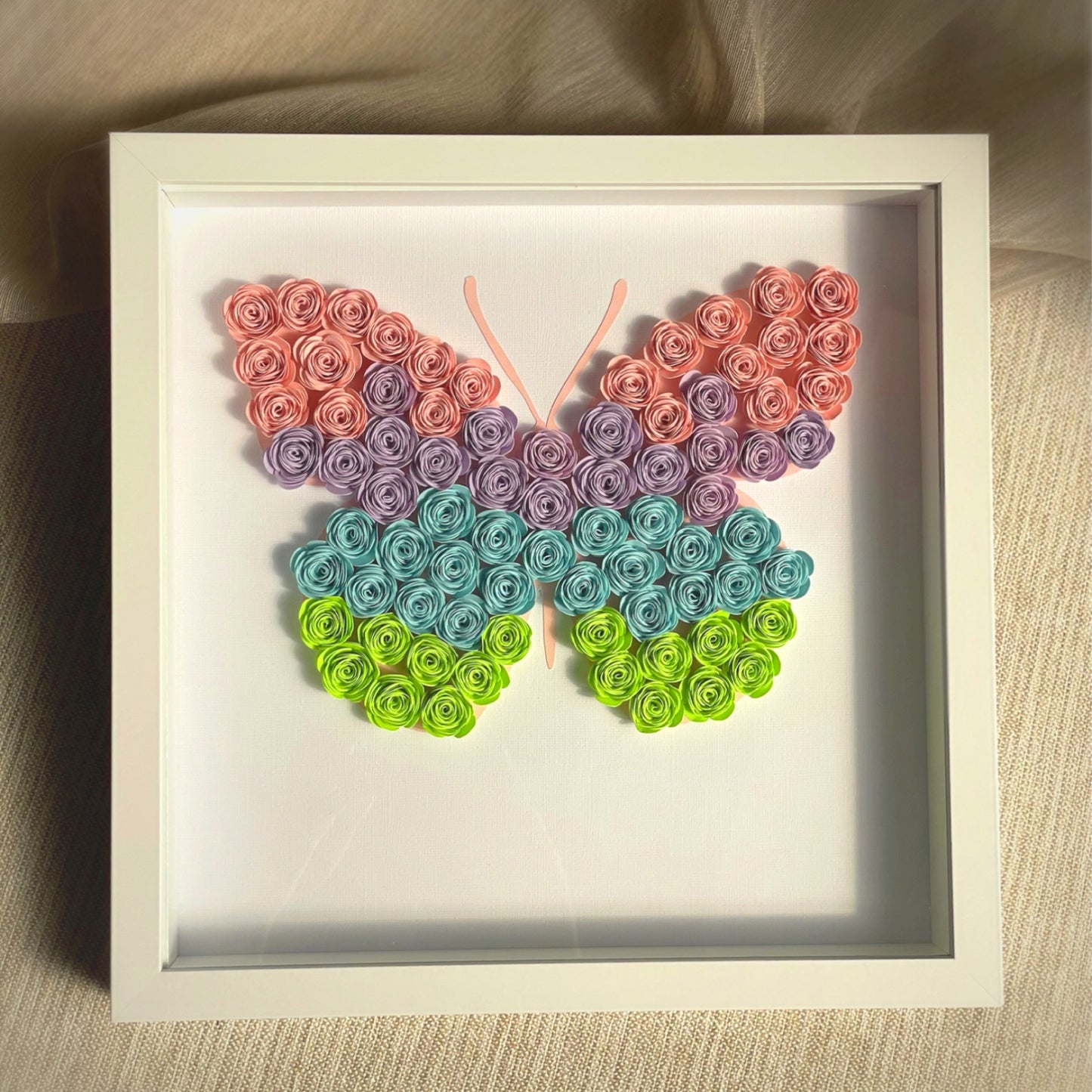Butterfly Shadowbox Frame
